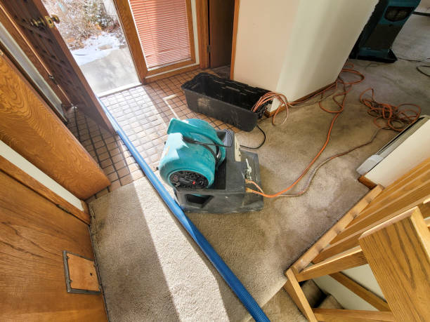 Best Professional water damage repair  in Brackettville, TX