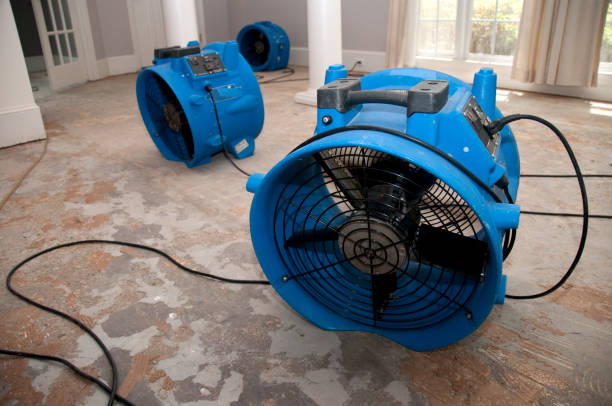 Best 24/7 water damage repair  in Brackettville, TX