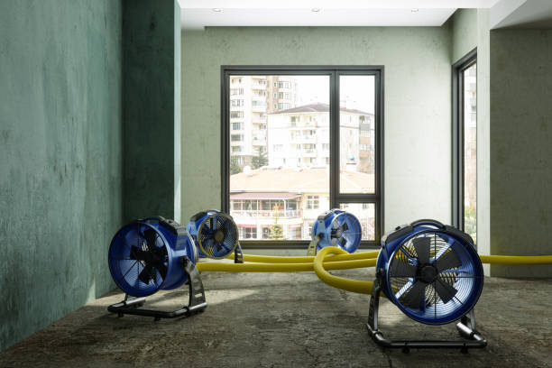 Local water damage restoration in Brackettville, TX
